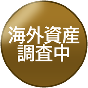 海外資産調査中