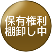 保有権利棚卸し中
