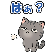 スタンプ メイン画像 240x240