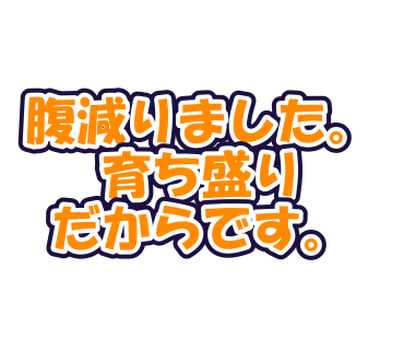 腹減りました。育ち盛りだからです。