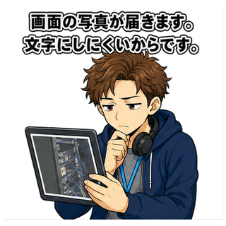 画面の写真が届きます。文字にしにくいからです。