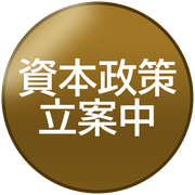 資本政策立案中