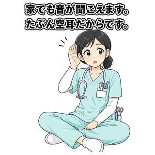 家でも音が聞こえます。たぶん空耳だからです。