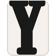 Y