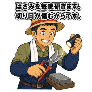 はさみを毎晩研ぎます。切り口が傷むからです。