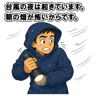 台風の夜は起きています。朝の畑が怖いからです。