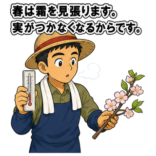 春は霜を見張ります。実がつかなくなるからです。
