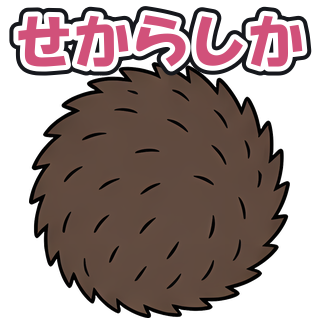 せからしか
