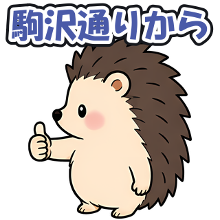 駒沢通りから
