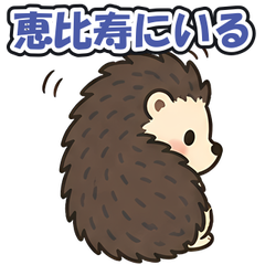 スタンプ メイン画像 240x240