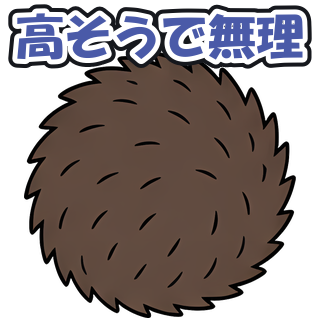 高そうで無理