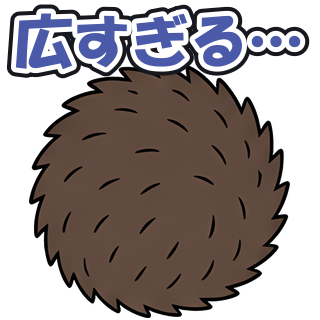 広すぎる…