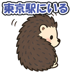 スタンプ メイン画像 240x240