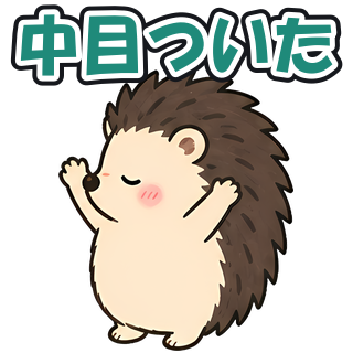 中目ついた