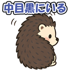 スタンプ メイン画像 240x240