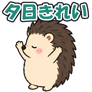夕日きれい