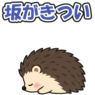 坂がきつい