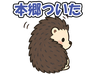 スタンプ タブ画像 96x74