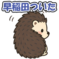 スタンプ メイン画像 240x240